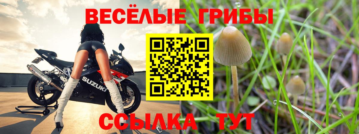 Псилоцибиновые грибы мицелий  Вход с VPN  Шуя 